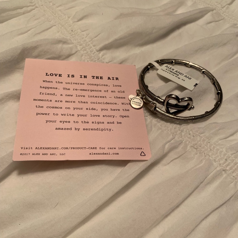 Alex and Ani Wrap bracelet